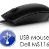 USB_Mouse_Dell_MS116_1700