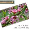 AUO_B156HW01_1600