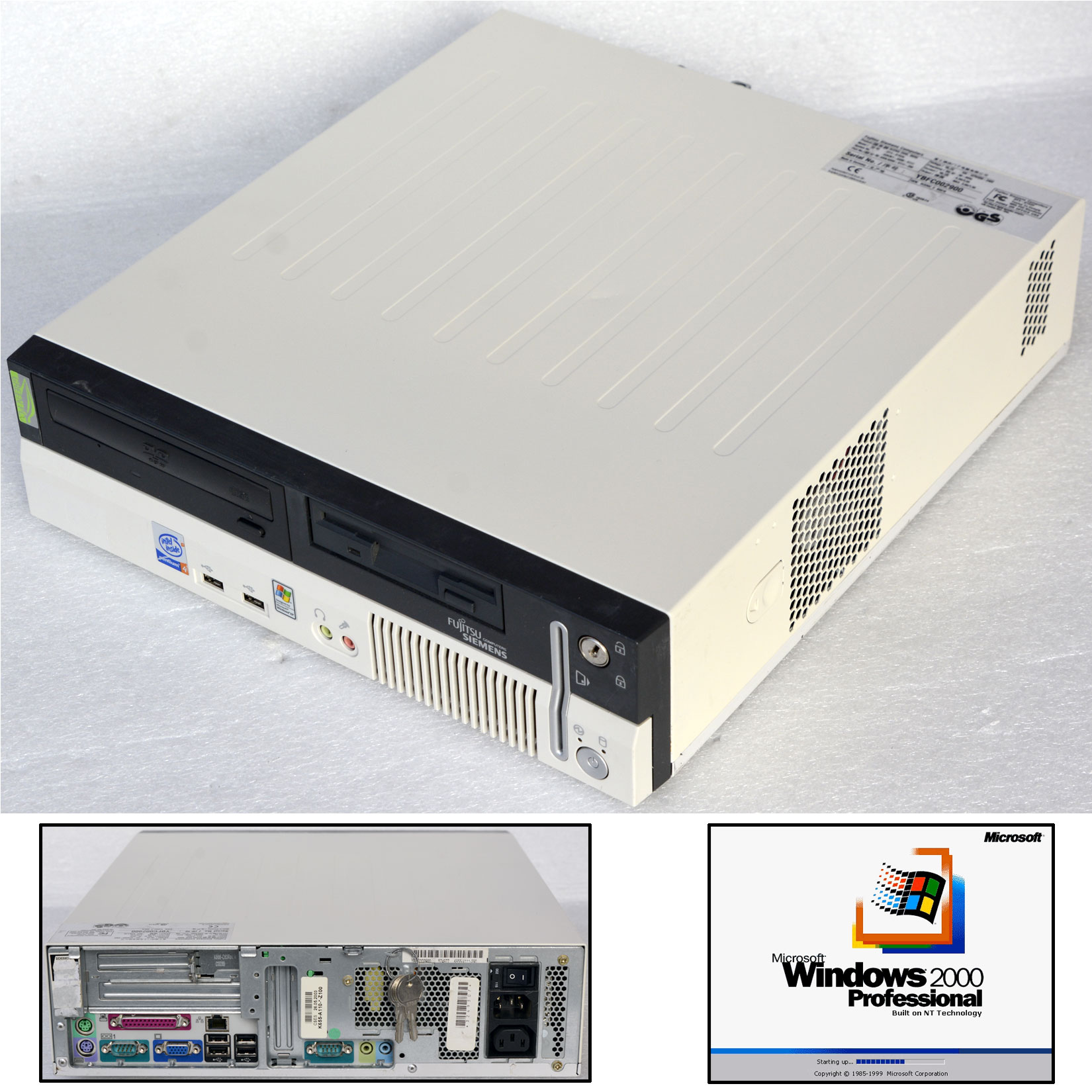 DT4-D1534_1650.jpg