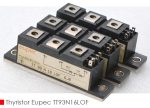 Eupec_TT_93_N_16_LOF_1
