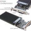 Grafikkarte_NVidia_Low_Profile_GT710_1GD3h_LP_2.jpg