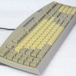 SUN_TYP_6_2.jpg