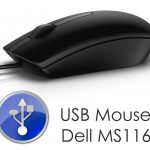 USB_Mouse_Dell_MS116_1700