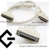 scsi_50_pin_50-pin_2fach_1.jpg